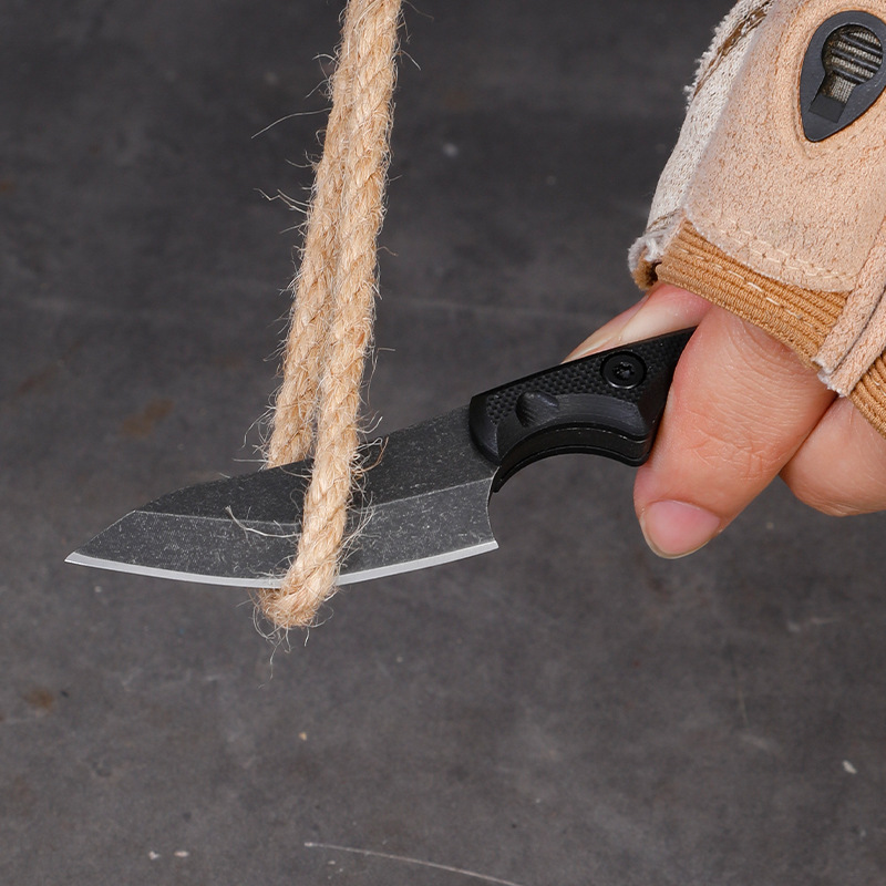 5CR15 Stainless Steel Small Fi - Edc Carry Fixed Blade Knife recension och pris
